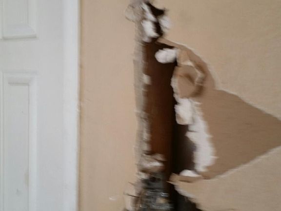 5th image of 704 S Concord St