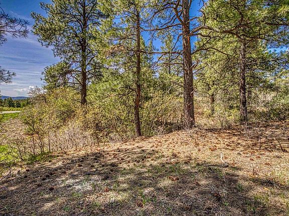 4th image of 1362 Cool Pines Drive