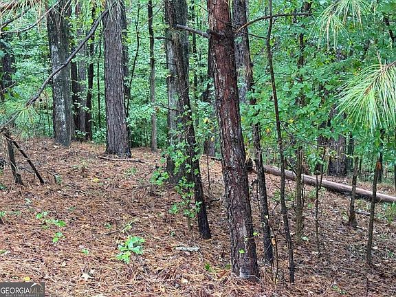 3rd image of 1011 Callahans Ridge Rd
