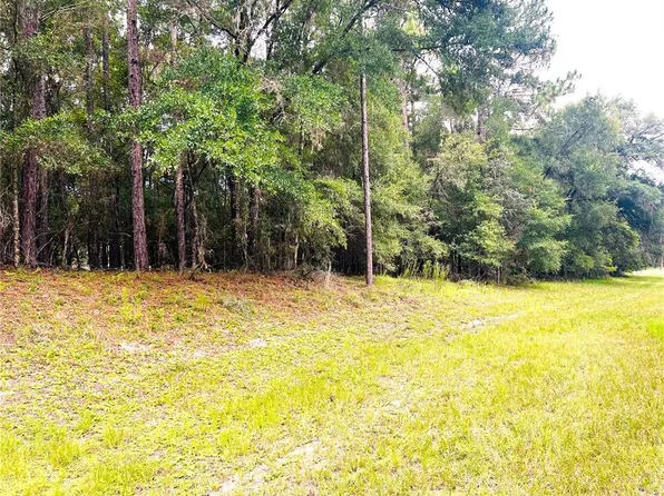 0 SW 185th Avenue Rd Lot 43, Dunnellon, FL 34432
