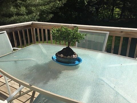 Deck 2