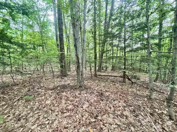 55-10 Longwood Drive, Greenfield, NH 03047