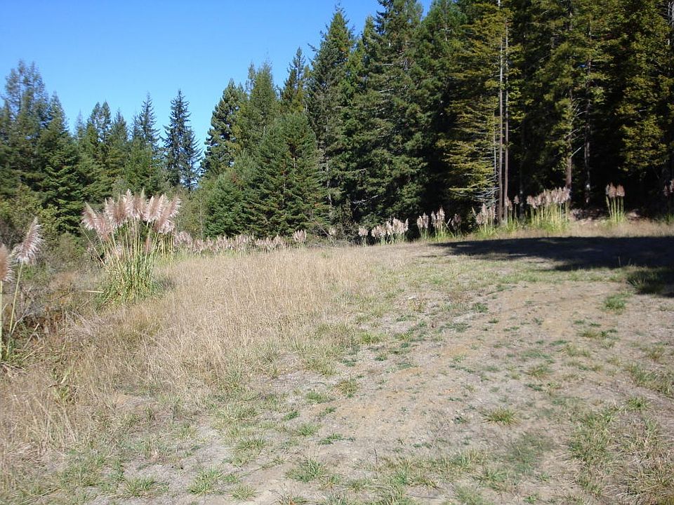 DSC03700