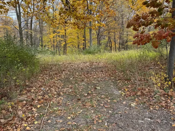 0 W Clear Lake Rd, Buchanan, MI 49107