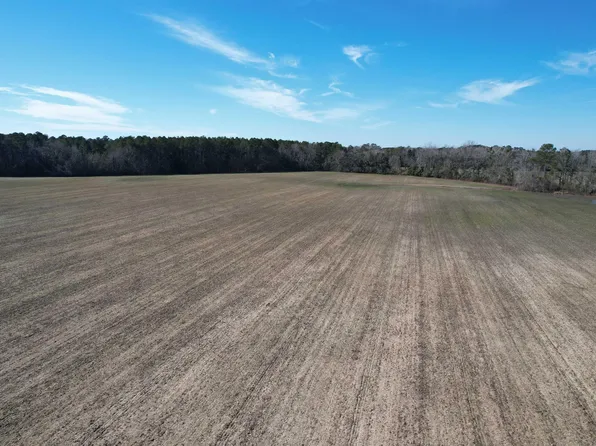80.86 Acres-TBD Cedar Swamp Rd. #Central Rd, Kingstree, SC 29556