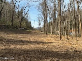 439 Caney Creek Rd, Pigeon Forge, TN 37863