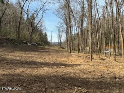 439 Caney Creek Rd, Pigeon Forge, TN, 37863