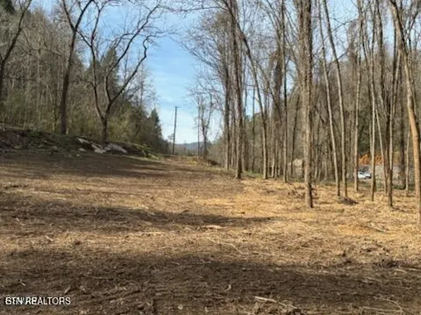 439 Caney Creek Rd, Pigeon Forge, TN 37863