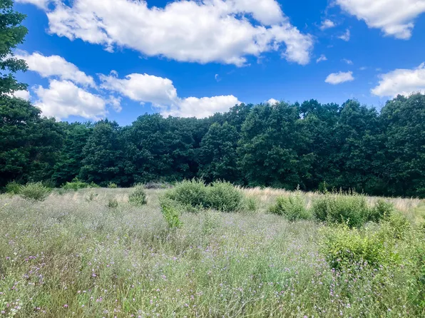 PARCEL Nine Leaf Ln, Freeport, MI 49325