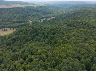 0 Poags Hole Rd #55, Dansville, NY 14437