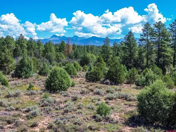 Lot 1 Road 39.2, Mancos, CO 81328