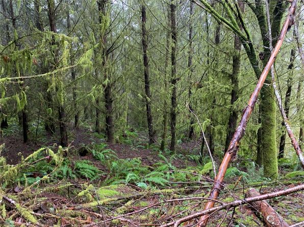 0 Fallert Road, Kalama, WA 98625