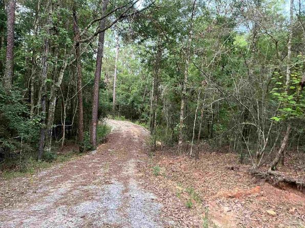 Land For Sale Molino Fl