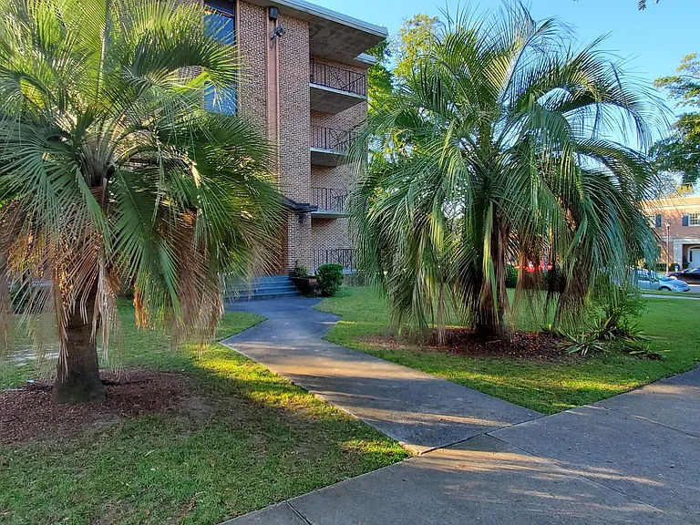 sena1800 — Photo 14