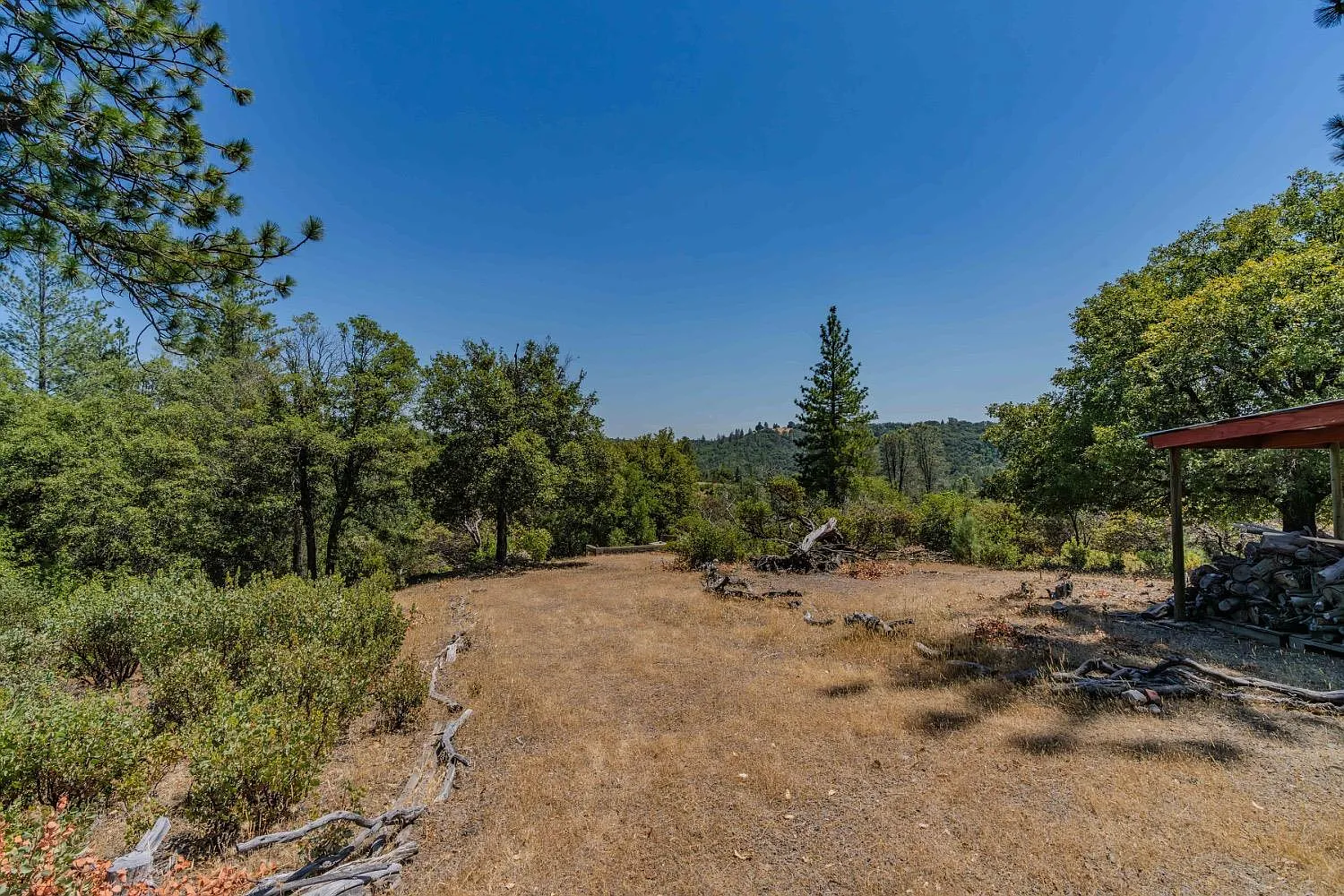 14446 Sutter Highlands Dr photo 1
