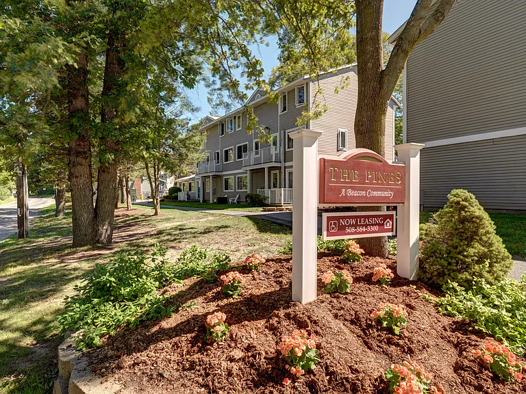469 Pine Grove Dr — Photo 13