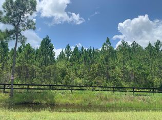 0 Yellow Water Rd, Baldwin, FL 32234