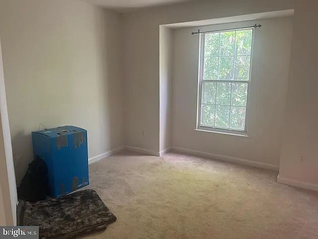 2028 Madrillon Springs Ct — Photo 23
