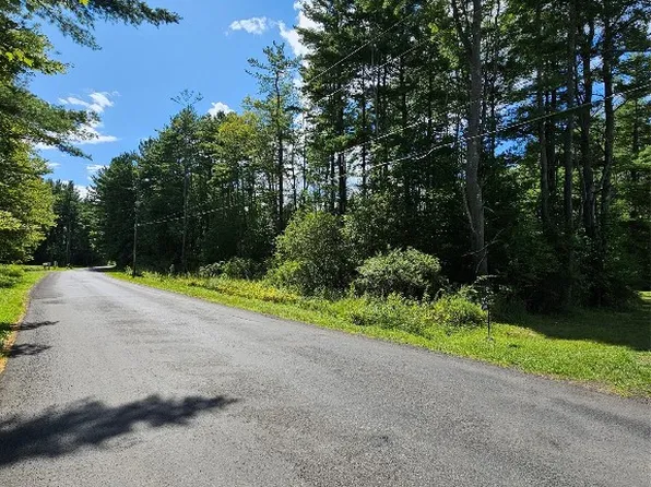 209 Mount Pleasant Rd, Bainbridge, NY 13733