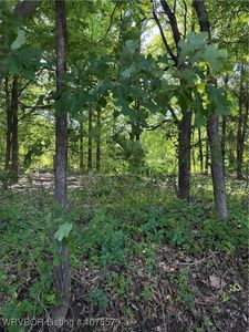 S Shiloh Rd, Sallisaw, OK, 74955