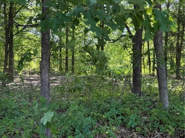 S Shiloh Rd, Sallisaw, OK 74955