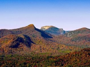 2598 Tower Rd, Sapphire, NC 28774