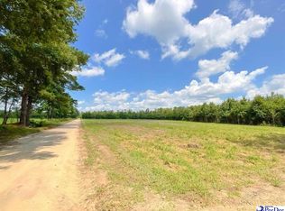 1400 Kelley Rd, Olanta, SC 29114