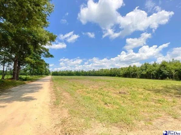 1400 Kelley Rd, Olanta, SC 29114