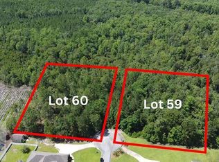 112 Vixenhill Dr, Jesup, GA 31546