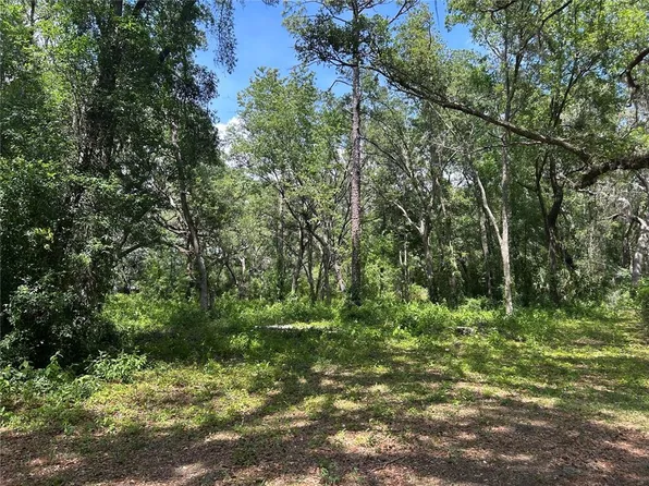 LOT 25 SE 192nd Ct Lot 25, Morriston, FL 32668