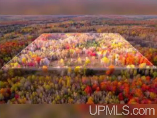 W Mineral Ave, Iron River, MI 49935