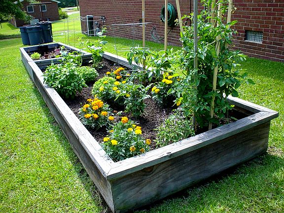 Box Garden
