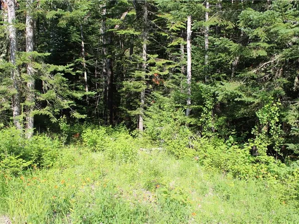 M9/L24A+B Bemis Road, Rangeley Plt, ME 04970