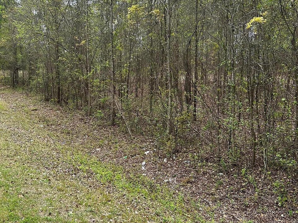 2nd image of Tbd Hickory Street