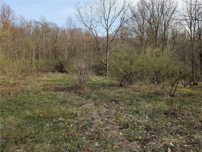 German Lutheran Church Cemetery Rd #E/W, New Florence, PA, 15944