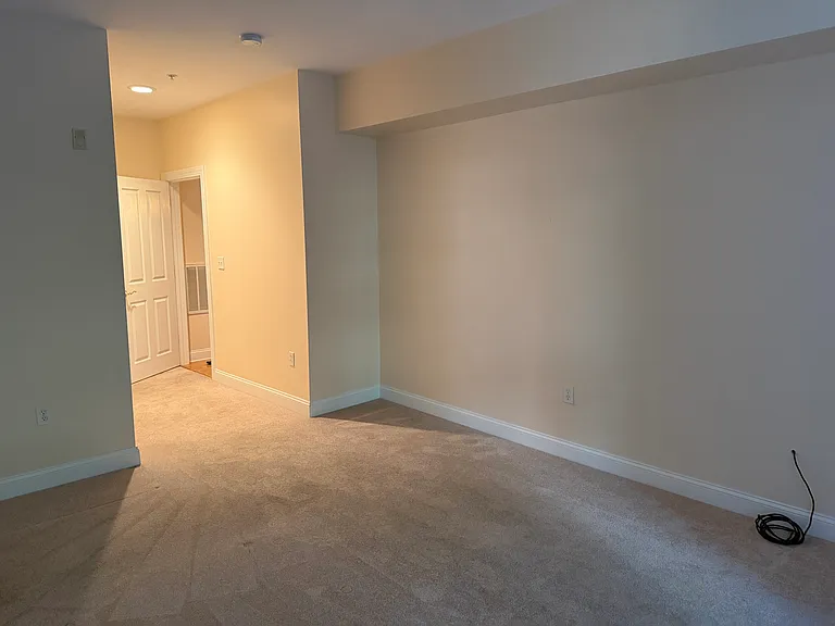 248 Albion St #312 — Photo 16