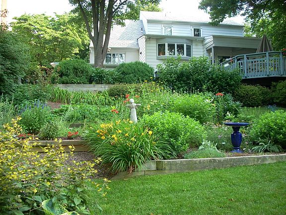 Back Yard Gardens