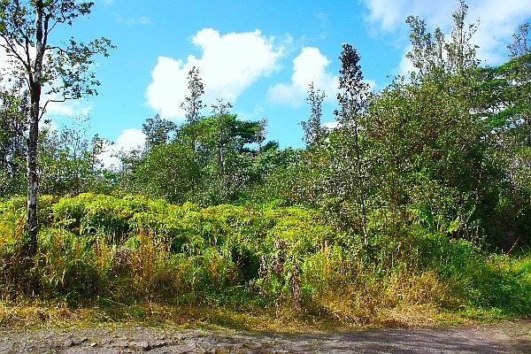 2nd image of Road 10 Poouli Lot 5714