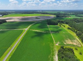 0 State Highway 38 140 S, Elloree, SC 29047