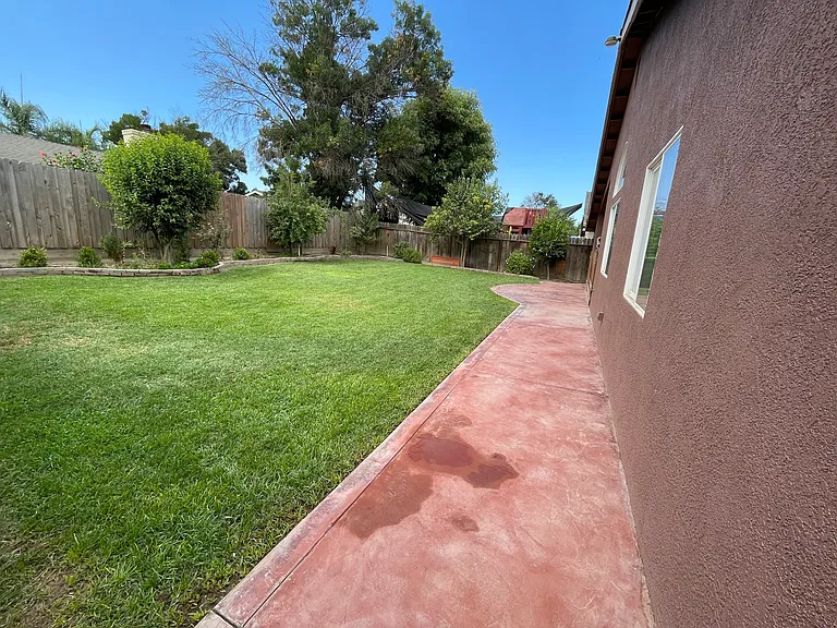 back yard