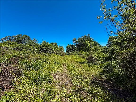 4th image of LOT 3 Altamont Rd