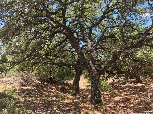 2900 S TOMBLIN RD, Bigfoot, TX 78005