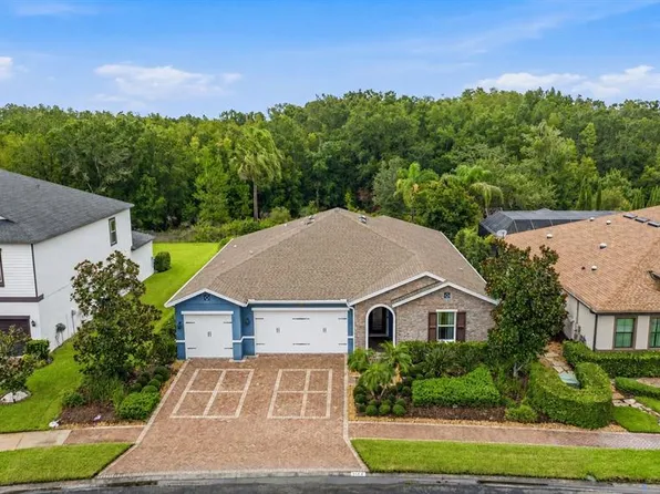 31321 DRISCOLL DRIVE, WESLEY CHAPEL, FL 33543