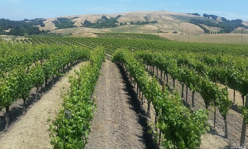 1450 Stage Gulch Rd, Petaluma, CA 94954 MLS 322097400 Zillow