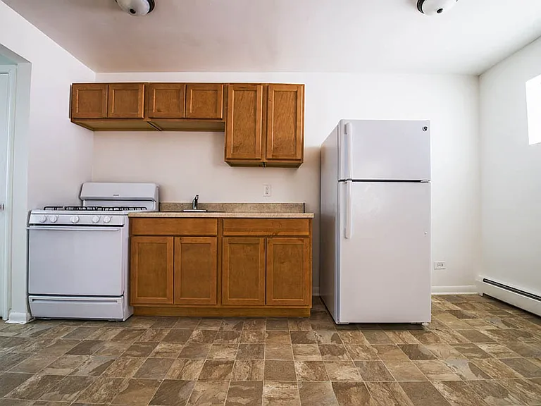 8751 S Cottage Grove Chicago, IL 60619 — Photo 18