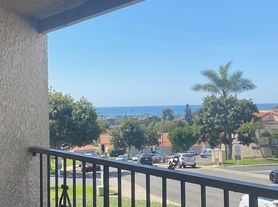 6675 Paseo Del Norte