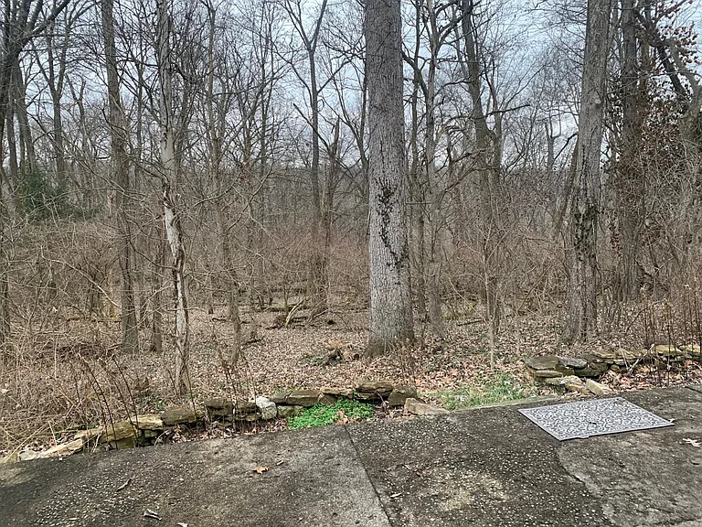 Grinnell Dr — Photo 4