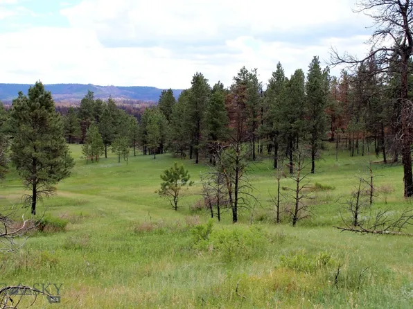 Deer Lane Smt #35, Roundup, MT 59072