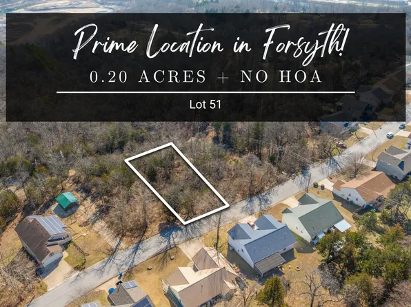 Lot 51 Eagle Drive, Forsyth, MO 65653