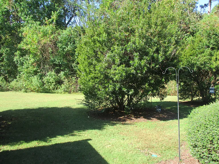 157 Olde Towne Way — Photo 22